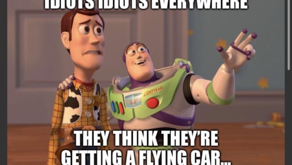 Elon simps