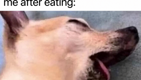 sleep energy