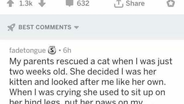 Animals are amazing!!