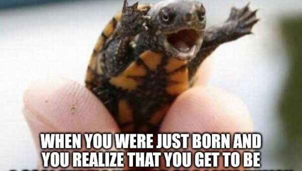 It’s like winning the lottery