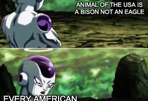 Do y’all just not like your national animal or something?